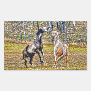 Zwei spielerische Pinto Paint Horses Equine Art De Rechteckiger Aufkleber