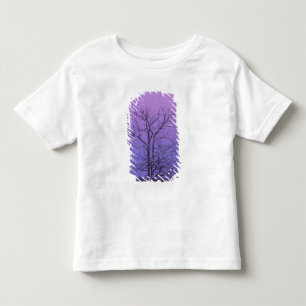 Zwei stämmiger Baum bei Sonnenaufgang; Chippewa Co Kleinkind T-shirt