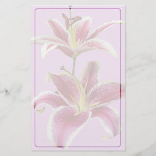 Zwei Stargazer-Lilien-Briefpapier Briefpapier