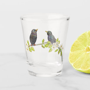 Zwei Starlings auf einem blühenden Zweig im Frühja Schnapsglas