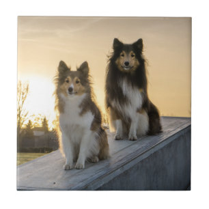 Zwei Stelen auf einem Dach bei Sonnenaufgang Fliese