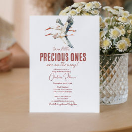 Zwei Storchen und zwei Babyduschen Einladung