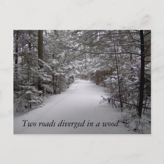 Zwei Straßen dienten in einer Holzwinterkarte Postkarte (Vorderseite)