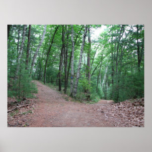 Zwei Straßen liefen in einem gelben Holz Poster