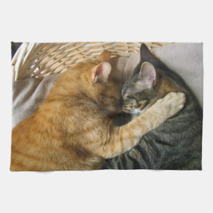 Zwei streichelnde Schlafentabby-Katzen Geschirrtuch
