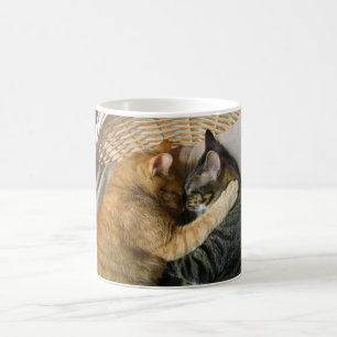 Zwei streichelnde Schlafentabby-Katzen Kaffeetasse