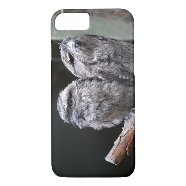 Zwei Tawny Frogmouth Birds Case-Mate iPhone Hülle (Rückseite)