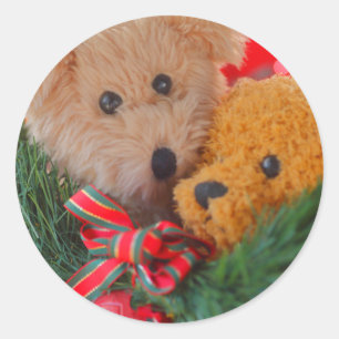 Zwei Teddybären mit grünem Umschlag Aufkleber