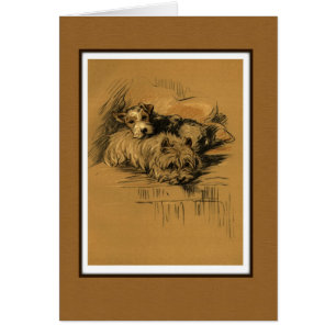 Zwei Terrier Hunde Cuddling