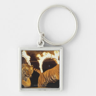 Zwei Tiger, die durch brennende Ringe des Feuers Schlüsselanhänger