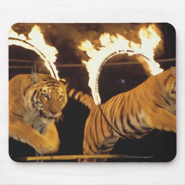Zwei Tiger springen durch Flammenringe Mousepad (Vorne)