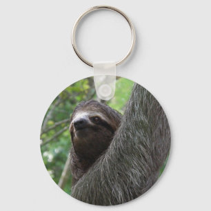 Zwei Toed Sloth-Schlüsselanhänger Schlüsselanhänger