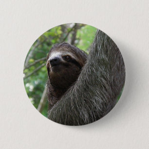Zwei Toed Trägheits-Knopf Button