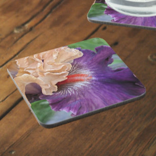 Zwei-Tone-Bartete Iris Bloom Floral Getränkeuntersetzer