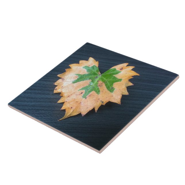 Zwei Tone Leaf Keramik Tile Fliese (Seite)