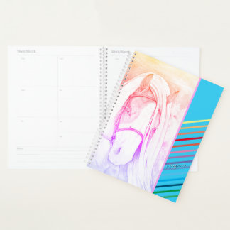 Zwei Tone (Regenbogen) Planer