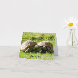 Zwei Tortoises - die besten Freunde! Grußkarte Karte