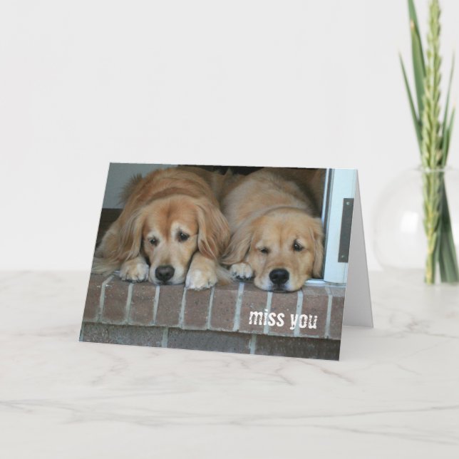 Zwei traurige Golden Retriever Hunde Miss You Karte (Vorderseite)