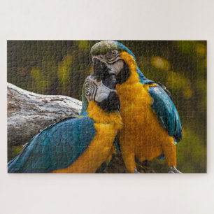 Zwei tropische Vögel Jigsaw Puzzle