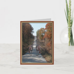 Zwei Truthähne Feiertagskarte