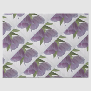 Zwei Tulips nach unten opt.2 Seidenpapier