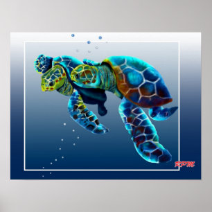 Zwei Turtles Poster