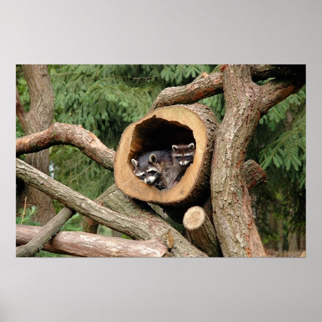 Zwei Unternehmen Poster (Vorne)