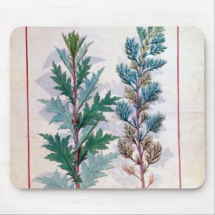 Zwei Vielzahl von Artemesia Mousepad