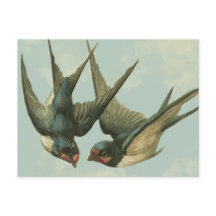 Zwei Vintage Schwalben