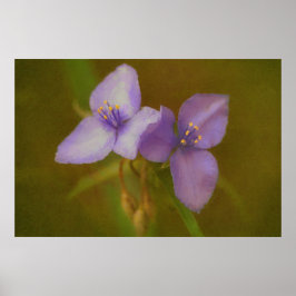 Zwei violette Blumen Art Wildblume Poster