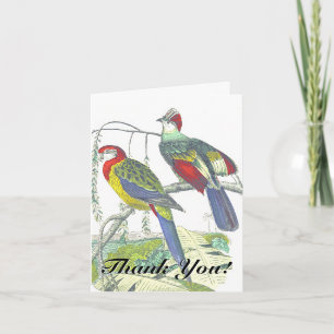 Zwei Vögel auf einem Ast "Danke!" Karte