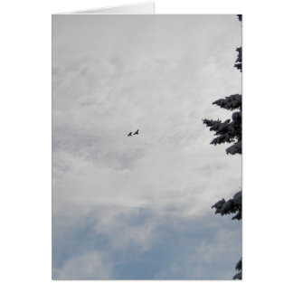 Zwei Vögel, die hoch fliegen