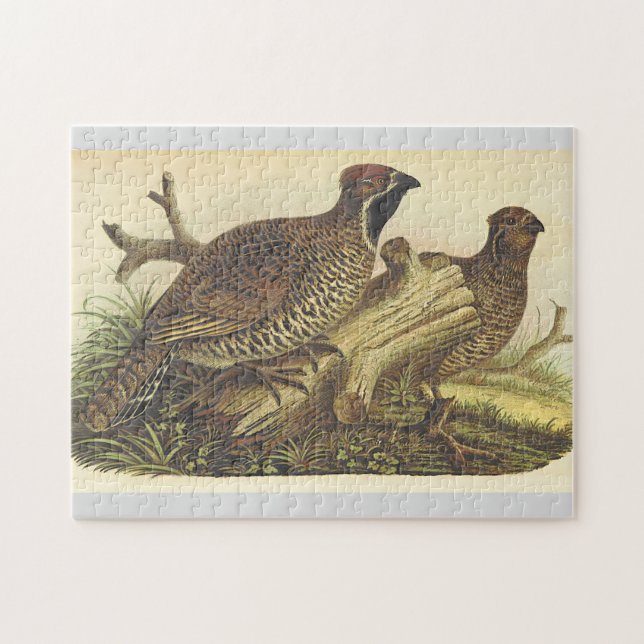 Zwei Vögel in der Nähe eines Rätsel (Horizontal)