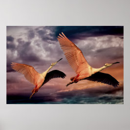 Zwei Vögel Poster