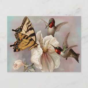 Zwei Vögel und ein Schmetterling teilen sich ein M Postkarte