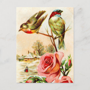 Zwei Vögel und Rosen Postkarte