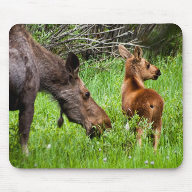 Zwei wachsame Elch-Mutter und Baby Mousepad (Vorne)