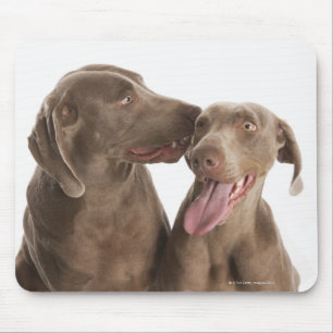 Zwei Weimaraner Mousepad