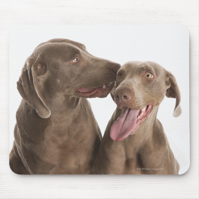 Zwei Weimaraner Mousepad (Vorne)