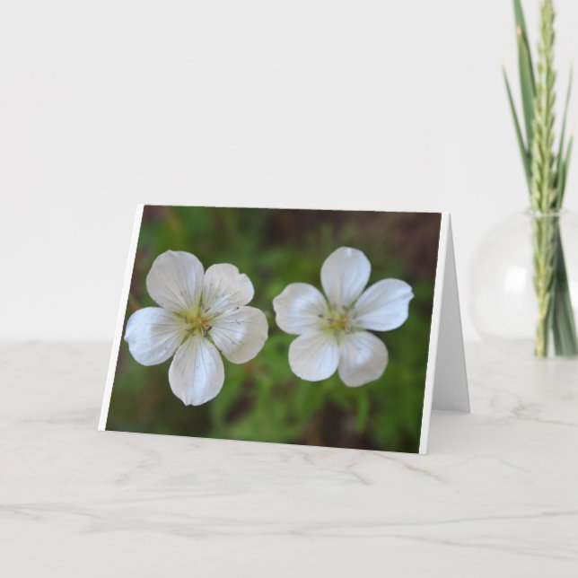 Zwei weiße Blumen-Gruß-Karte Karte (Vorderseite)