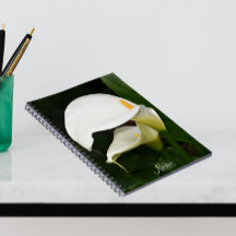 Zwei weiße Calla Lilies Floral