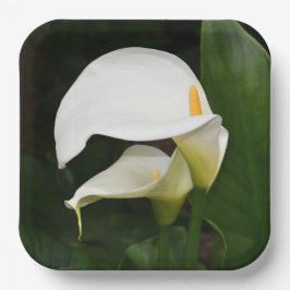 Zwei weiße Calla Lilies Floral Pappteller