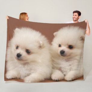 ZWEI WEISSE PUPPIEN FLEECEDECKE
