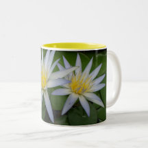 Zwei weiße Wasserlilien Tasse