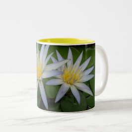 Zwei weiße Wasserlilien Tasse