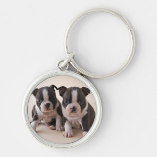 Zwei Welpen Bostons Terrier Schlüsselanhänger
