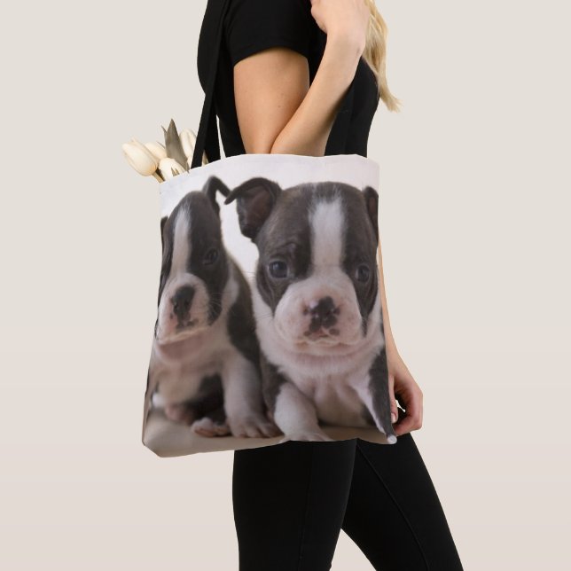 Zwei Welpen Bostons Terrier Tasche (Von Nahem)