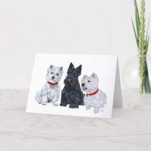 Zwei Westies und ein Scottie Karte