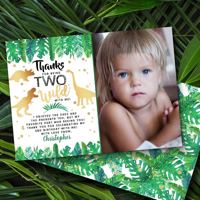 Zwei wilde Dinosaurier-Jungen zum zweiten Geburtst Dankeskarte (Von Creator hochgeladen)