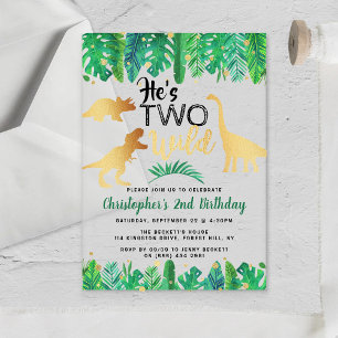 Zwei wilde Dinosaurier-Jungs 2. Geburtstag Acryleinladungen